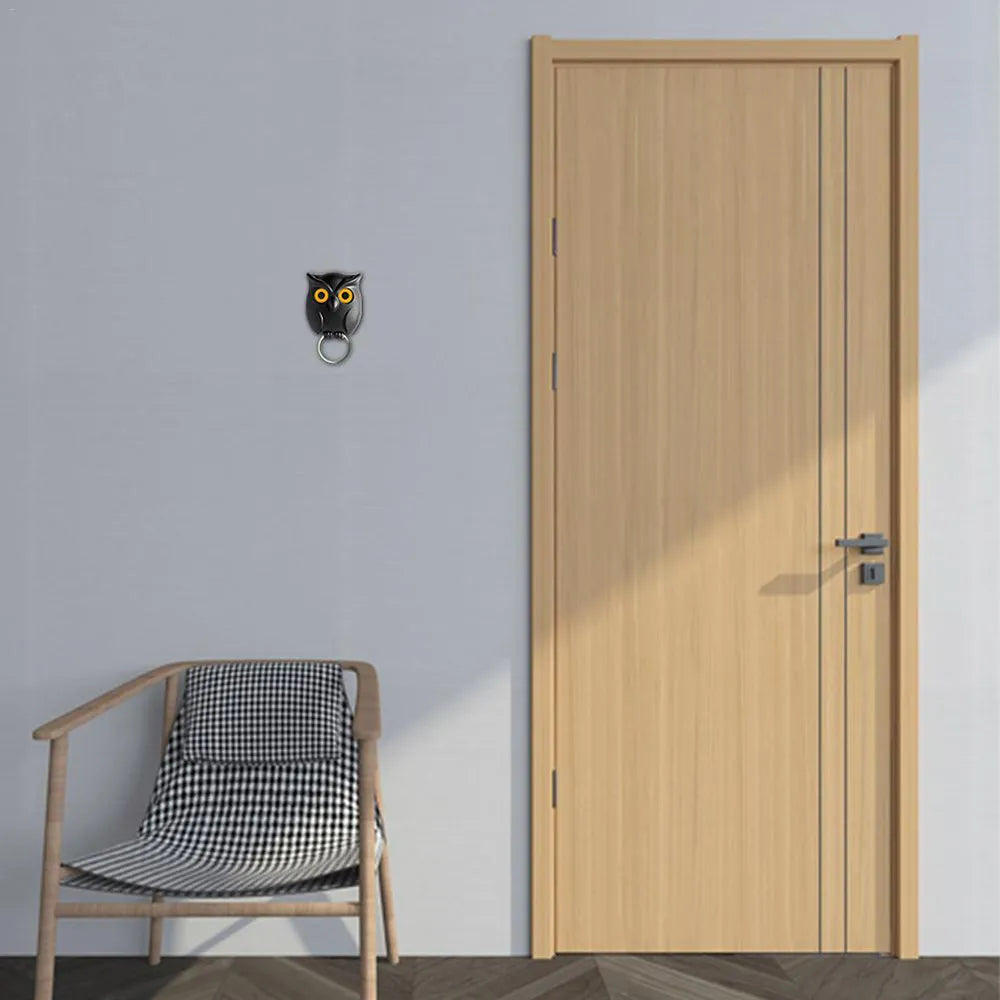 Trending Night Owl Key Holder “Hedwig from Harrrypotter”